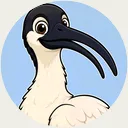 Binnie, the ibis of Sydney